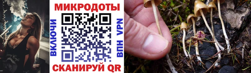 mega как войти  Алексин  Галлюциногенные грибы мицелий  где можно купить наркотик 
